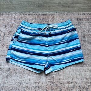 2(x)ist Swim Trunks